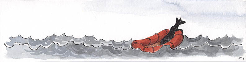 Hond op zee